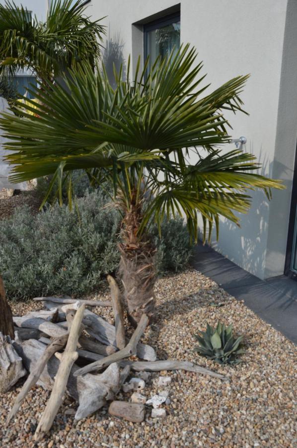 Palm Garden Apartment 1 Mikulov Exterior foto