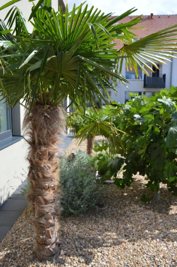Palm Garden Apartment 1 Mikulov Exterior foto